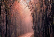 34.88万起售,奥迪Q6L e-tron正在用“双生血脉”重构豪华标尺